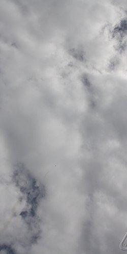 2013 Svojek Mirek Topinka